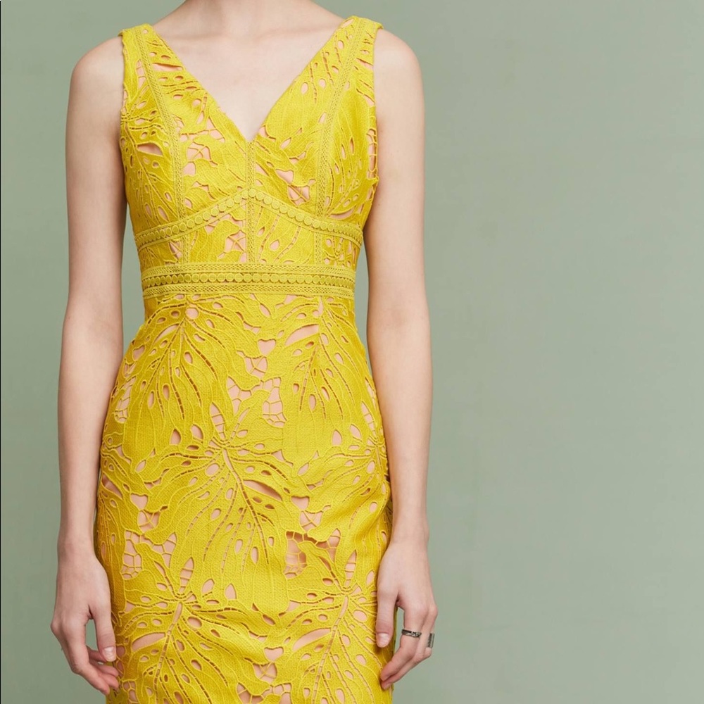 Anthropologie Maeve Gardenia Dress